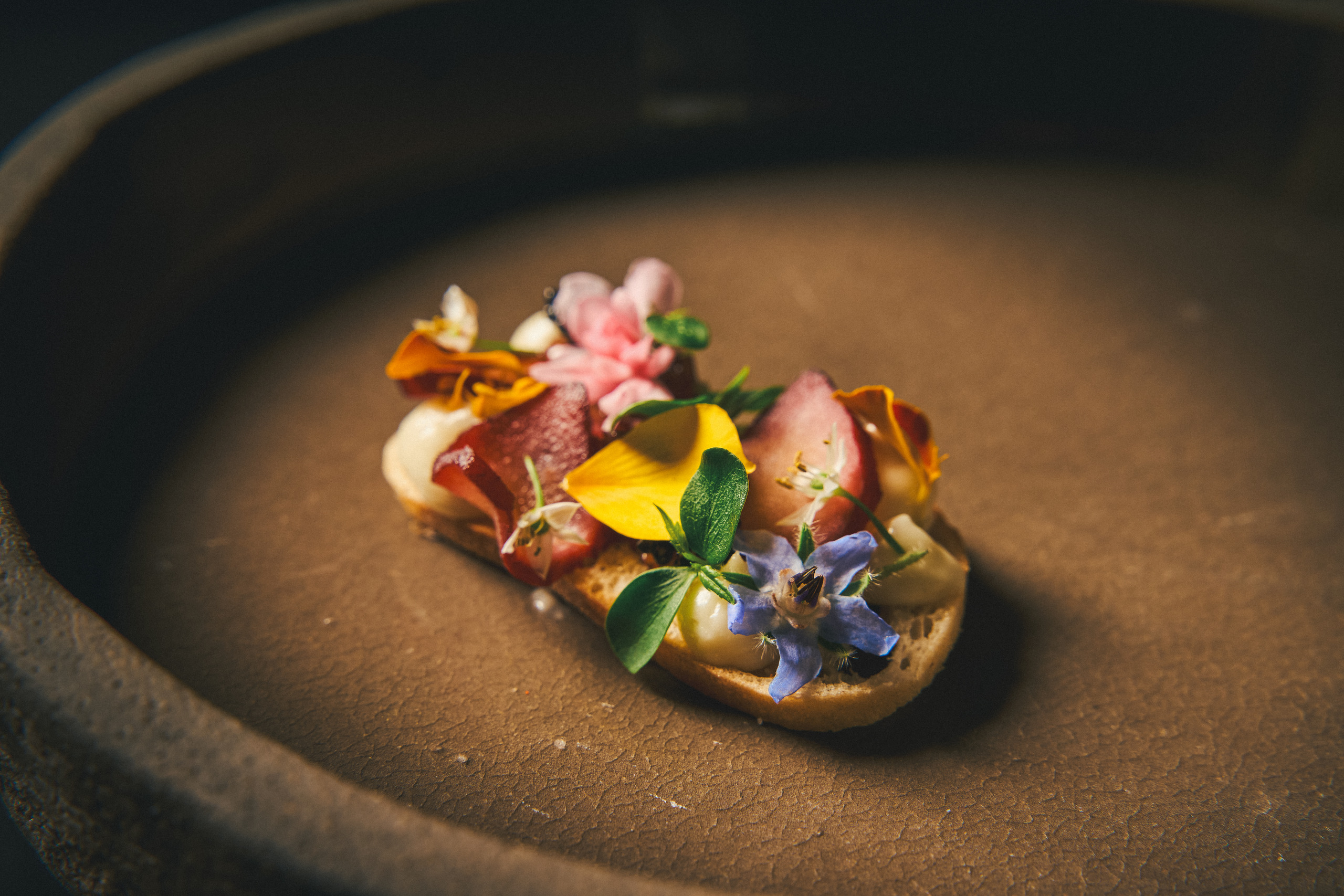 Plated course in a dark bowl